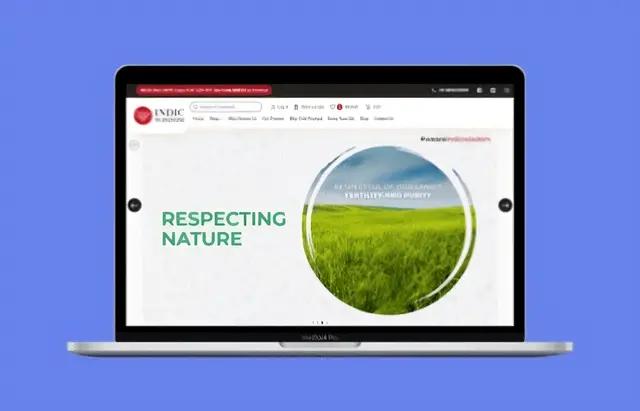 Hire UI/UX and Web Designers from AIS Innovate