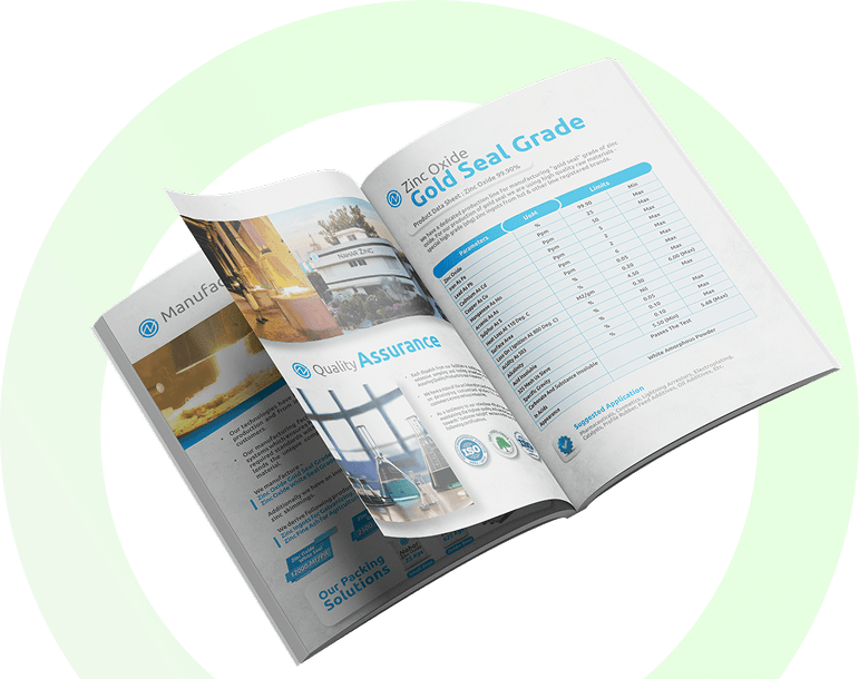 urgent evisa website design