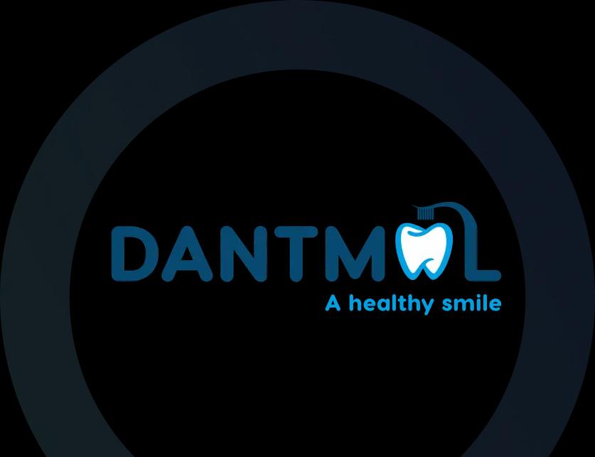 urgent evisa website design