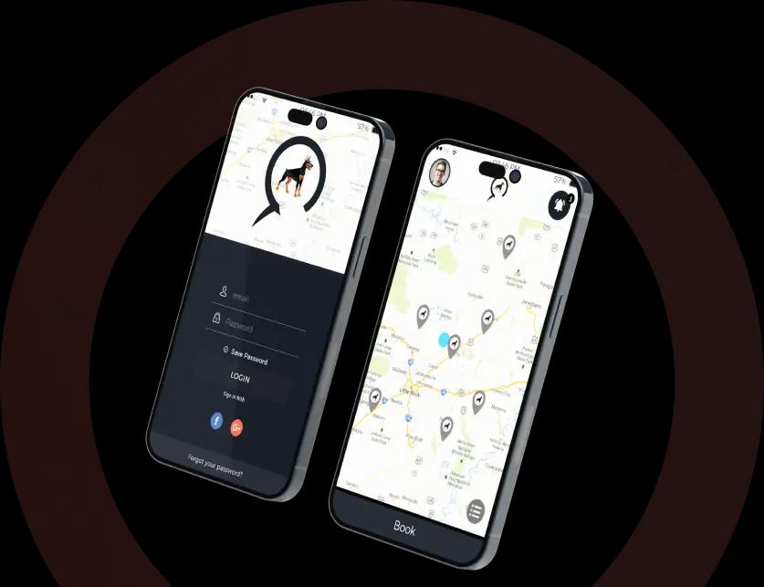 urgent evisa website design