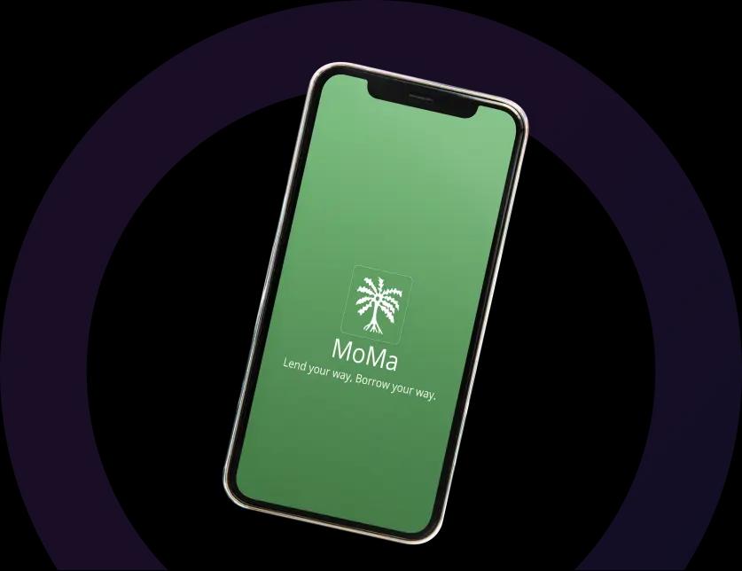 urgent evisa website design