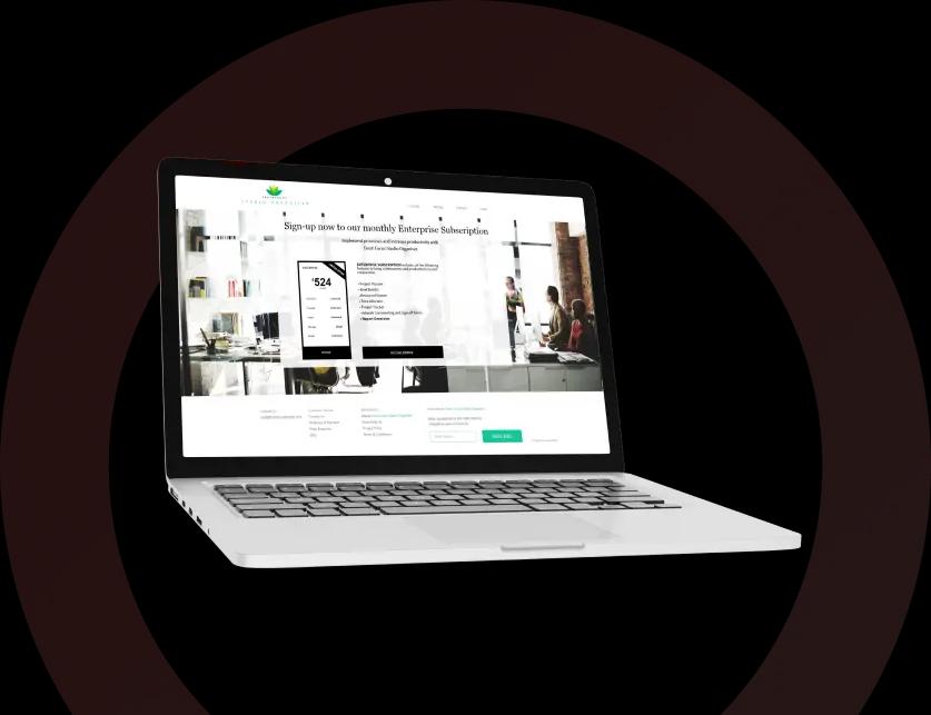 Urgent eVisa Website Design urgent evisa website design