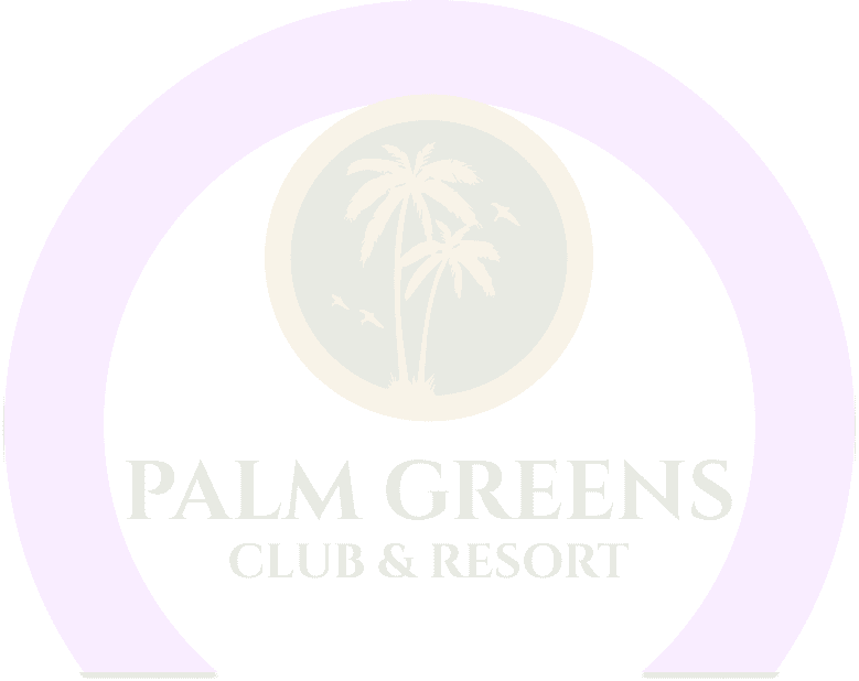 urgent evisa website design