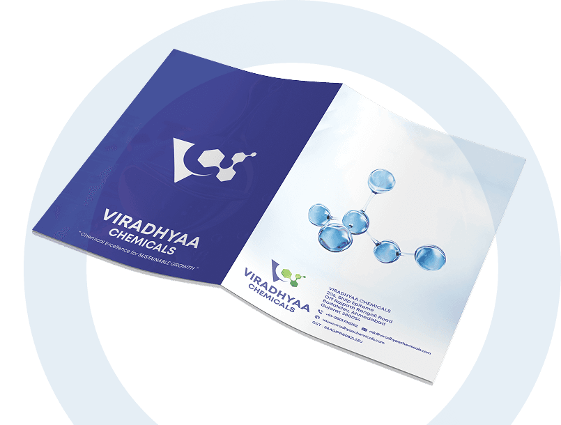 urgent evisa website design