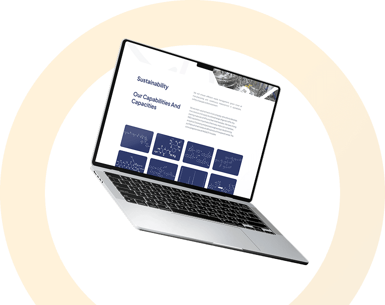 urgent evisa website design