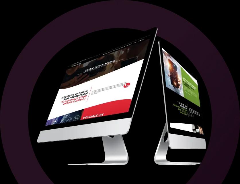 urgent evisa website design