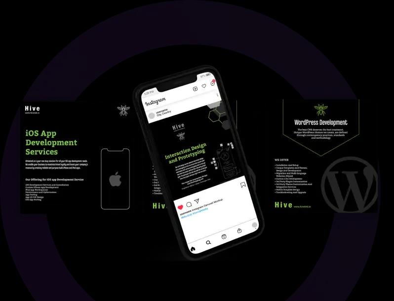 urgent evisa website design