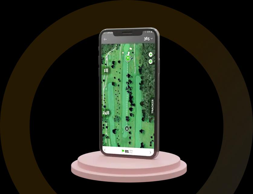 Urgent eVisa Website Design urgent evisa website design