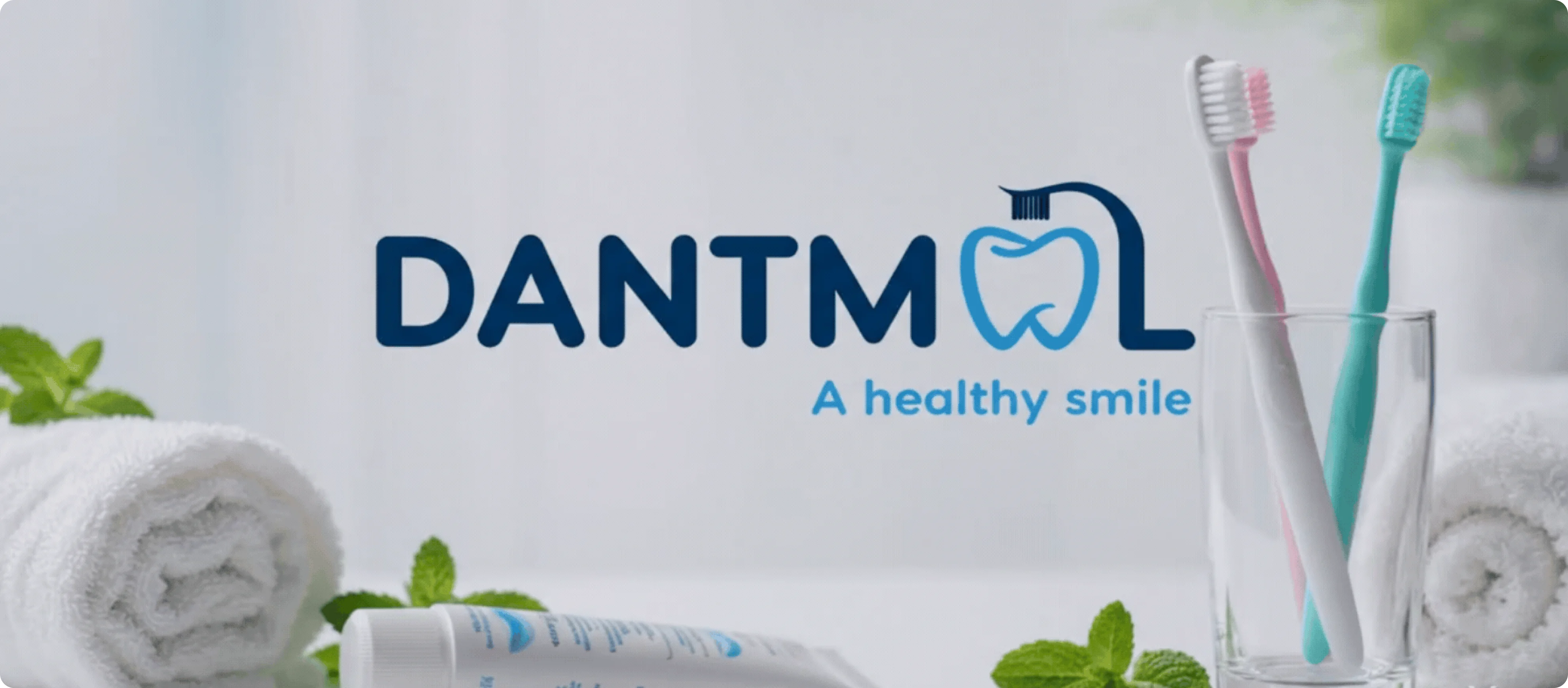 Dantmol branding banner with logo and toothbrush products