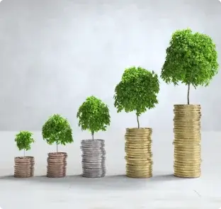 finance