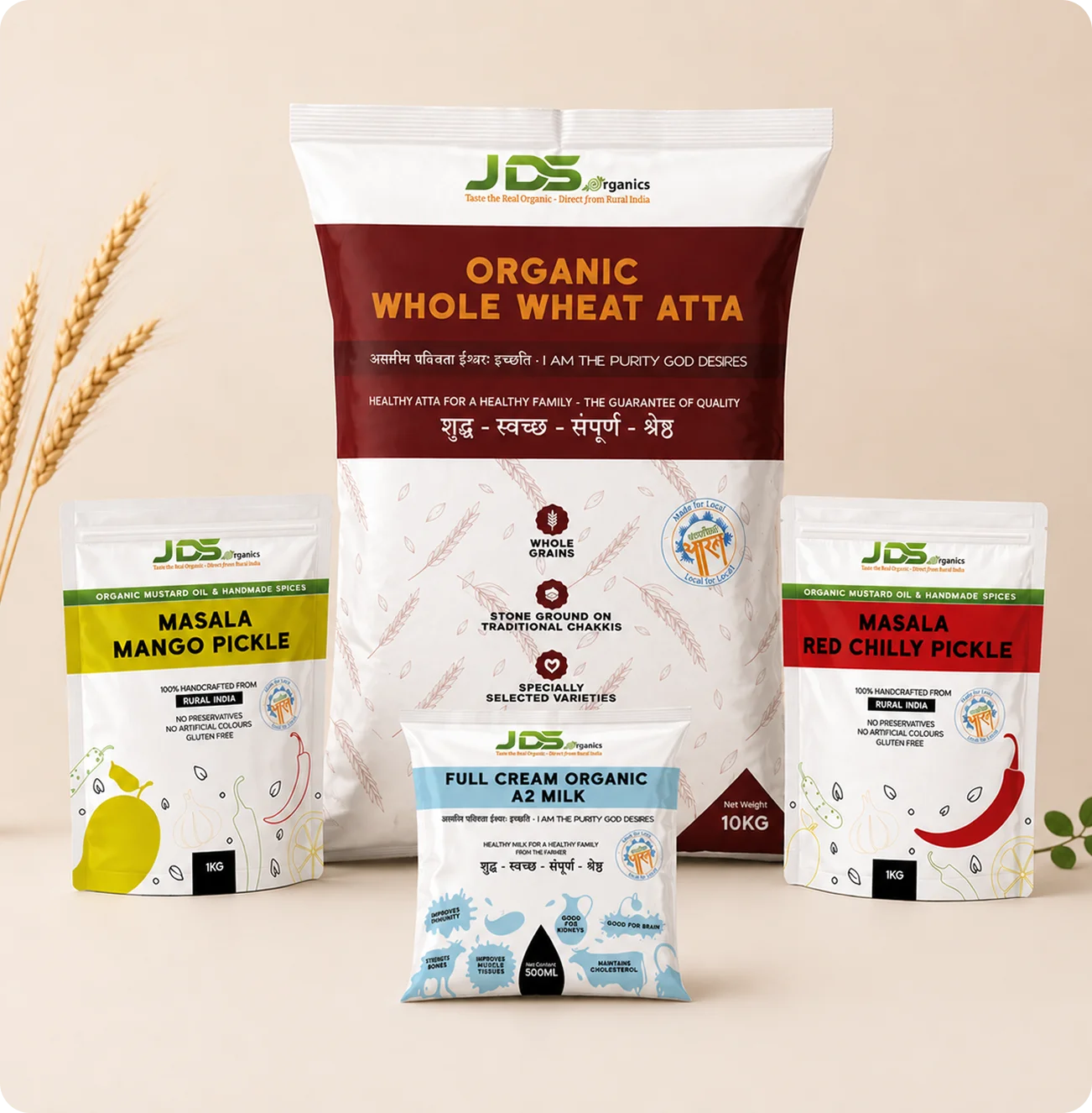JDS branding and design showcase