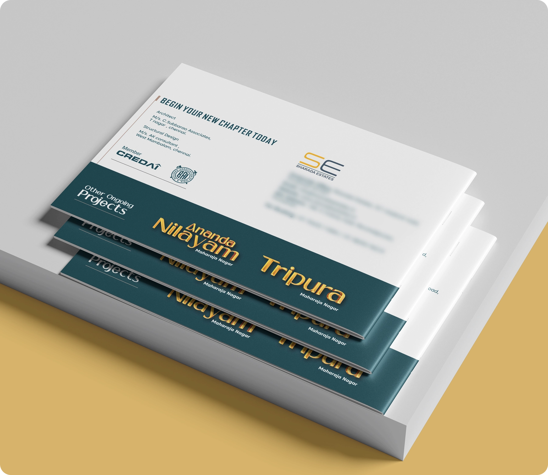 Sharda graphic design visual identity detail