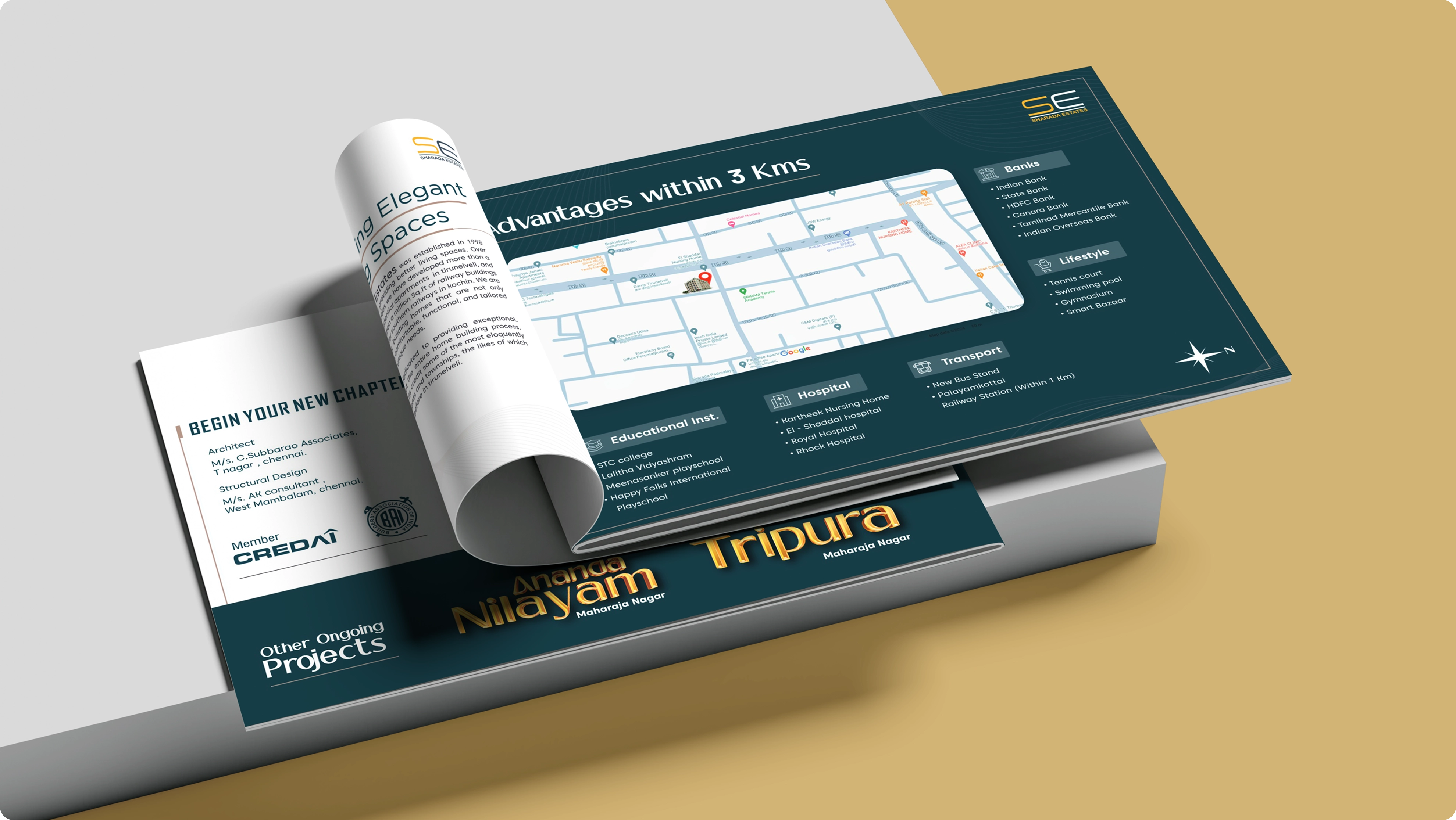 Sharda print and digital asset design